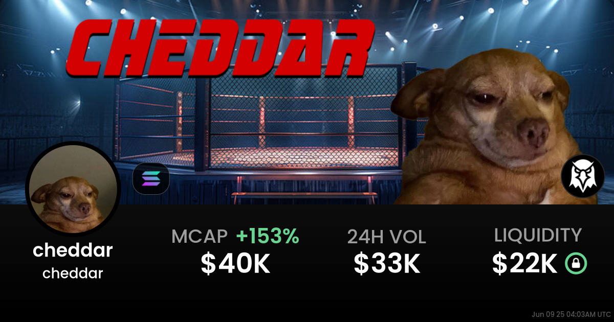 cheddar (cheddar)