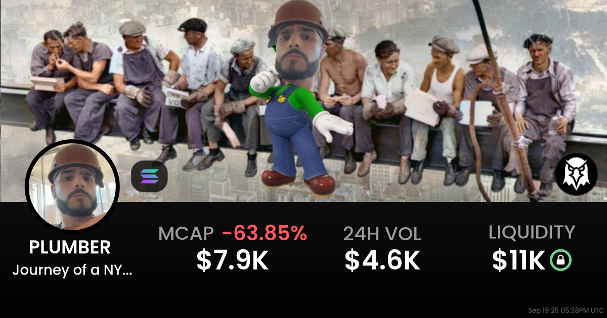 Journey of a NYC Plumber (PLUMBER )