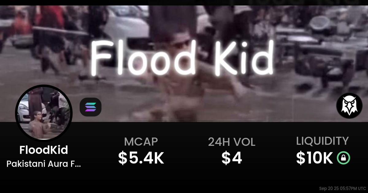 Pakistani Aura Farming Kid (FloodKid)