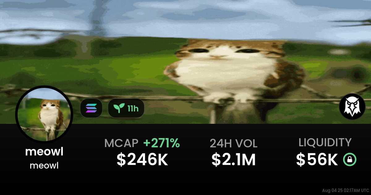 meowl (meowl)