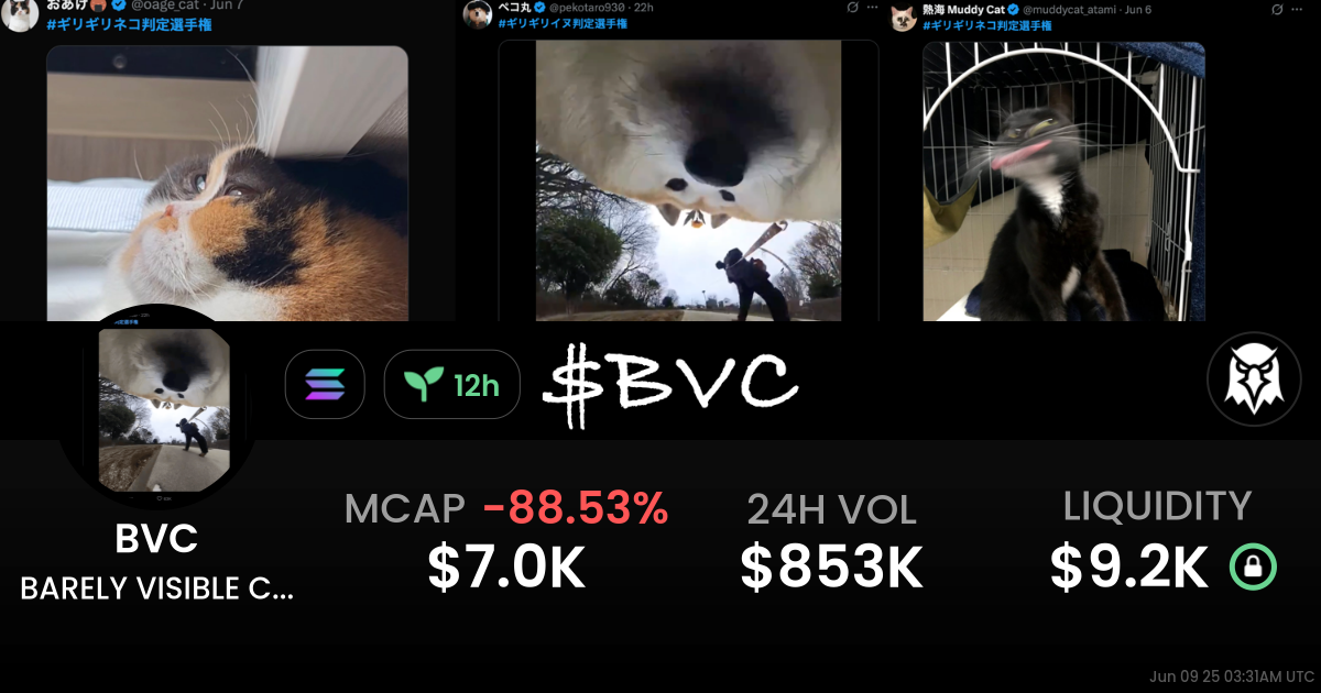 BARELY VISIBLE CHAMPIONSHIP (BVC)