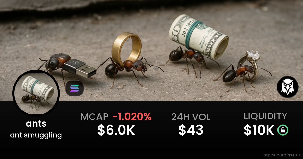 ant smuggling (ants)