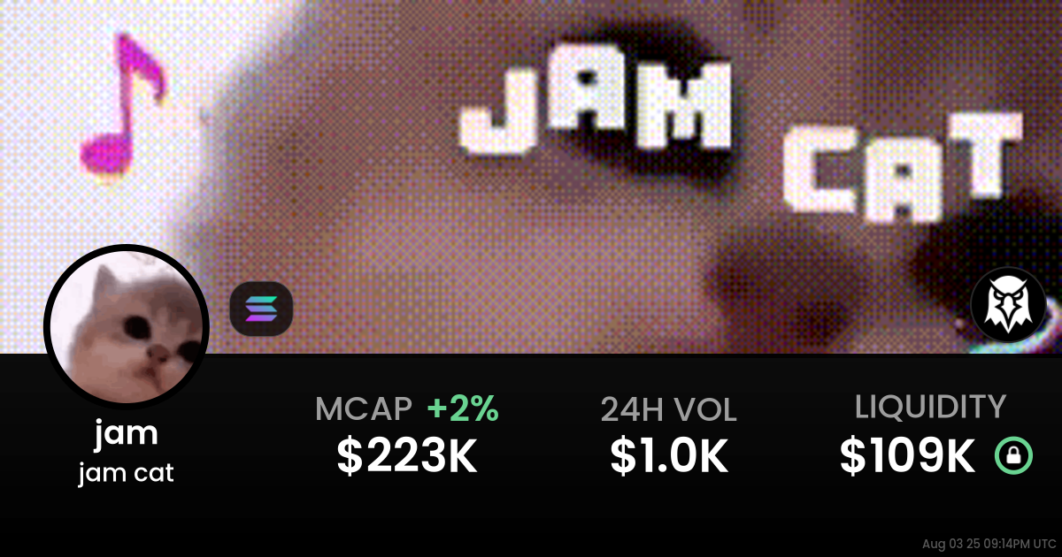 jam cat (jam)