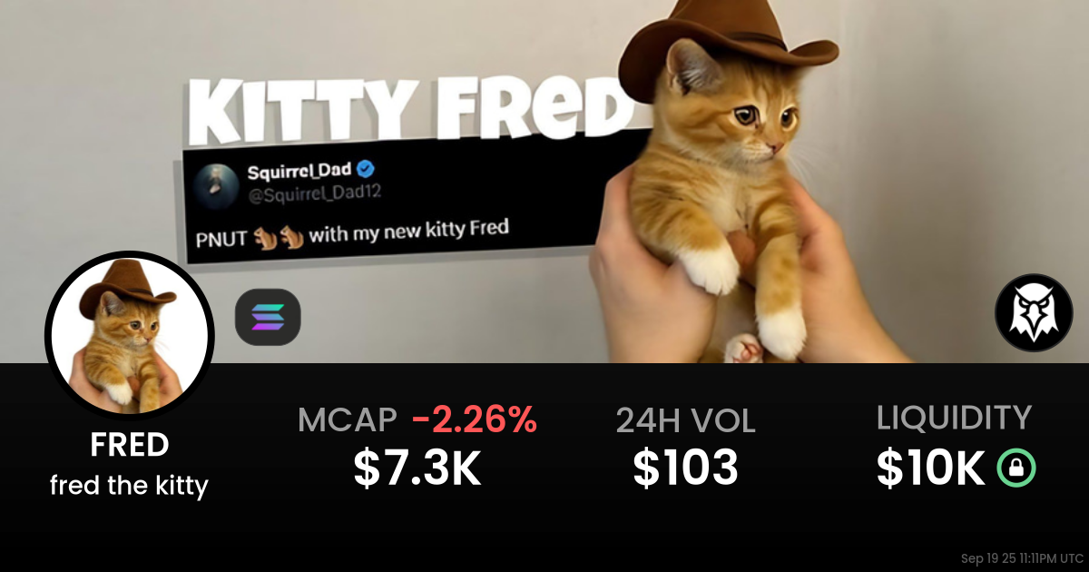 fred the kitty (FRED)
