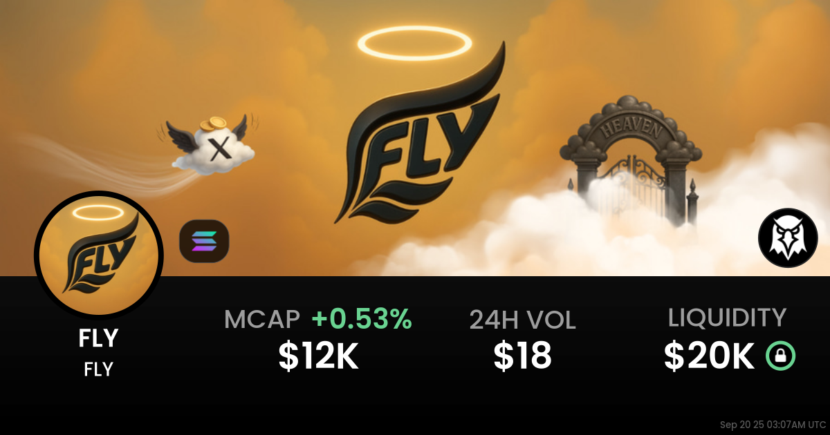 FLY (FLY)