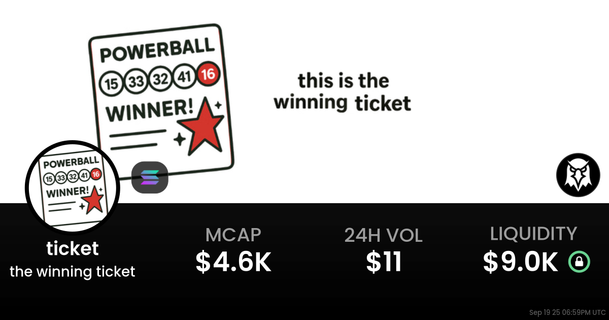 the winning ticket (ticket)