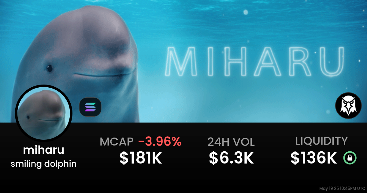 smiling dolphin (miharu)
