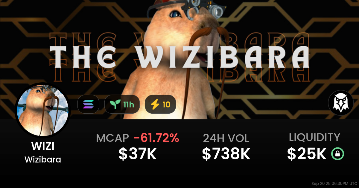 Wizibara (WIZI)