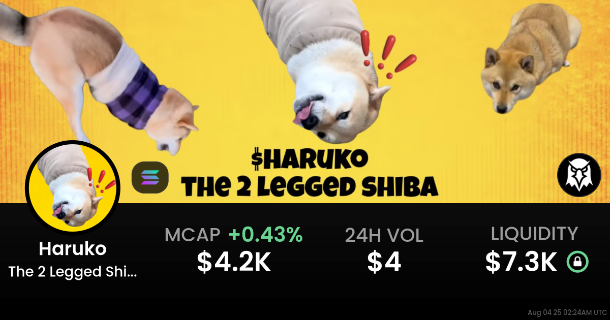 The 2 Legged Shiba (Haruko)