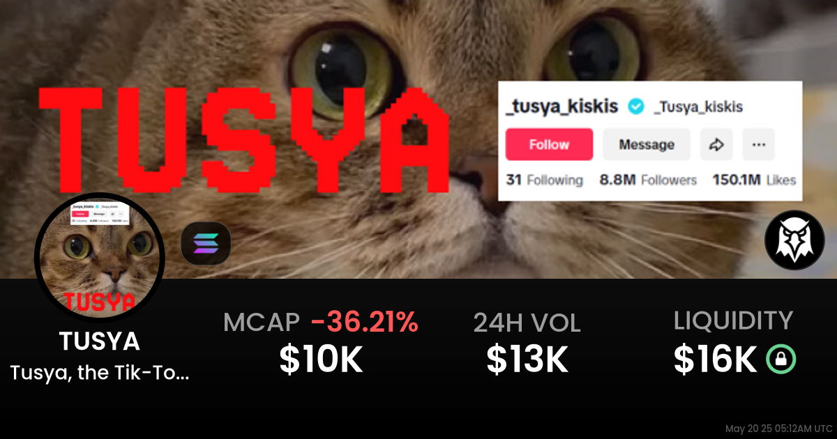 Tusya, the Tik-Tok Cat (TUSYA)