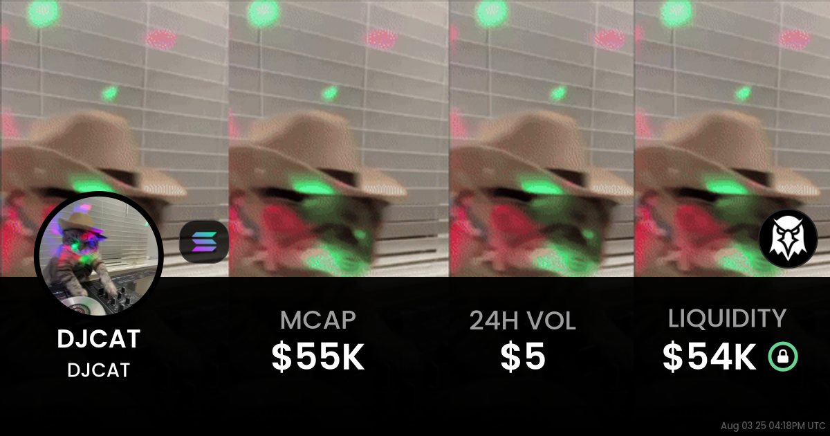 DJCAT (DJCAT)