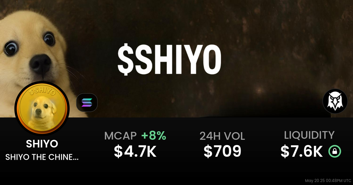 SHIYO THE CHINESE DOGE (SHIYO)