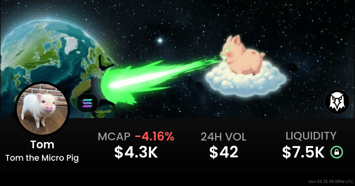 Tom the Micro Pig (Tom)