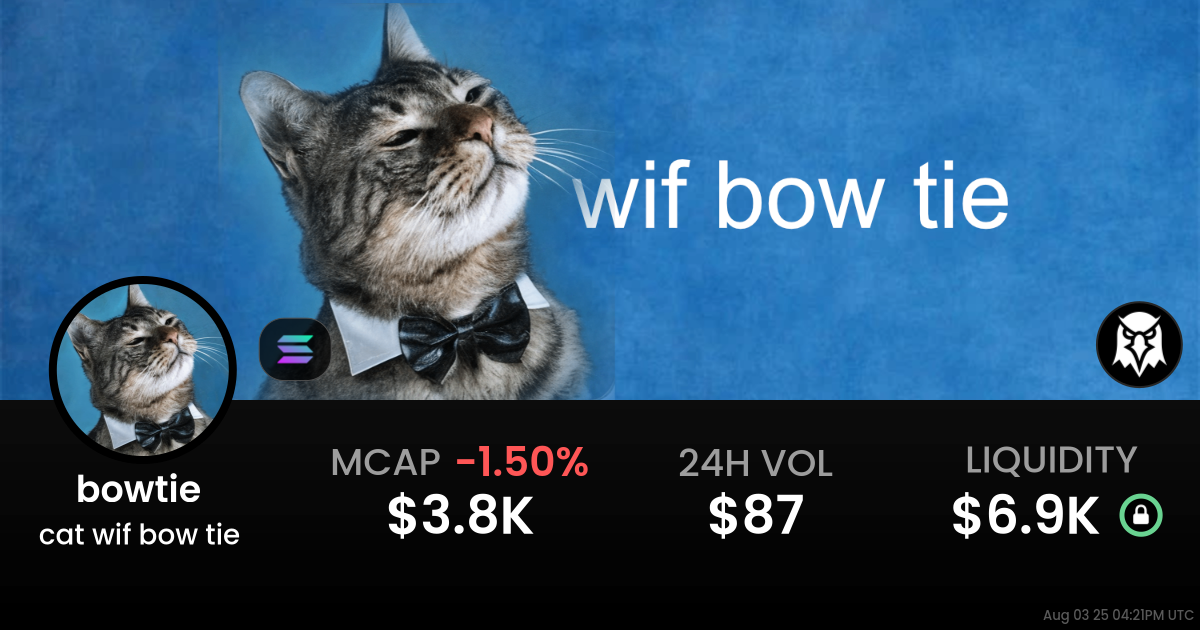 cat wif bow tie  (bowtie )