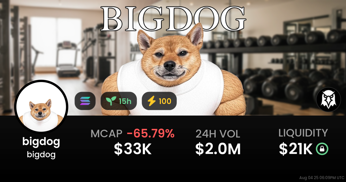 bigdog (bigdog)