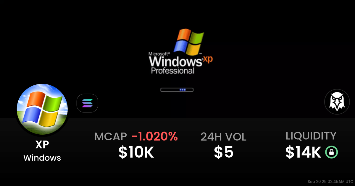 Windows (XP)