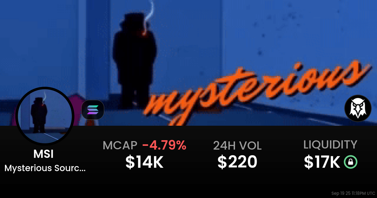 Mysterious Source Of Income  (MSI )