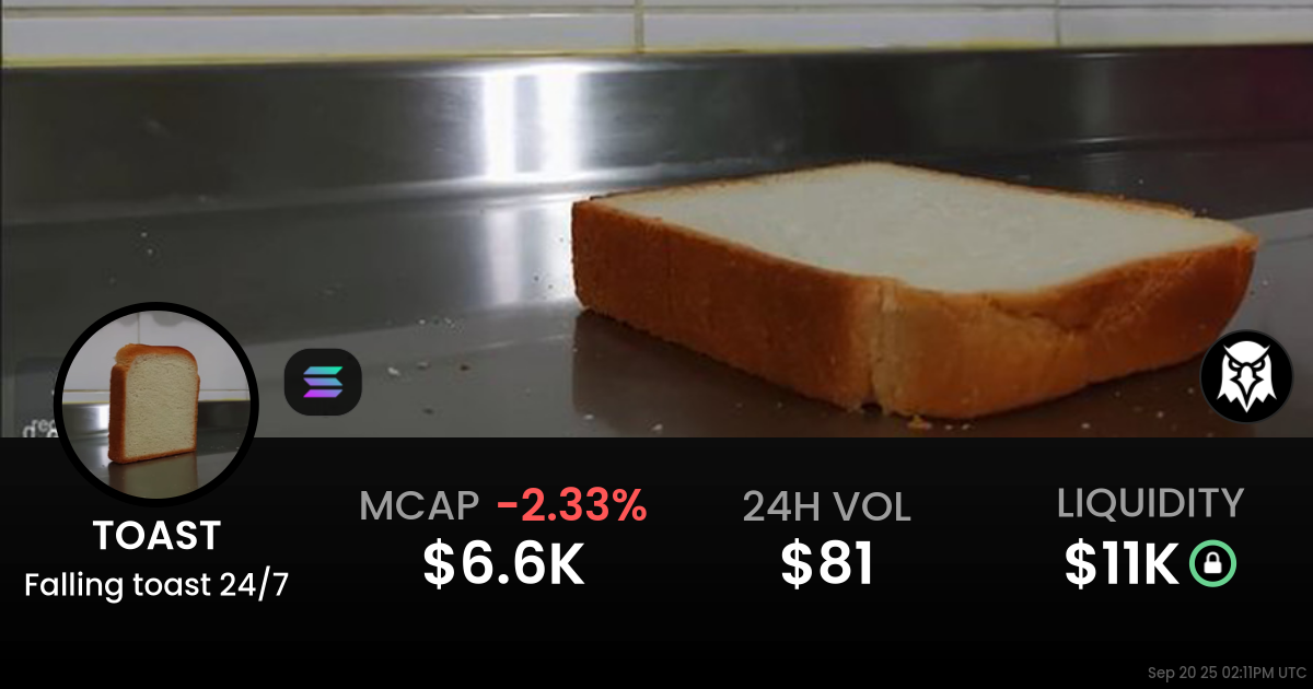 Falling toast 24/7 (TOAST)