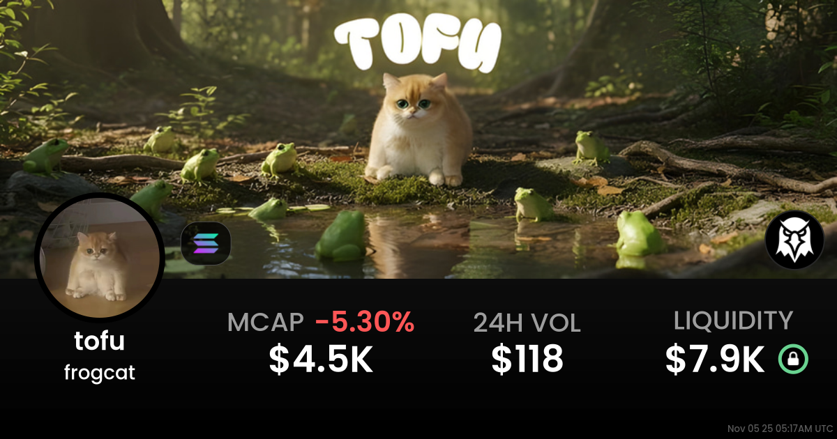frogcat (tofu)