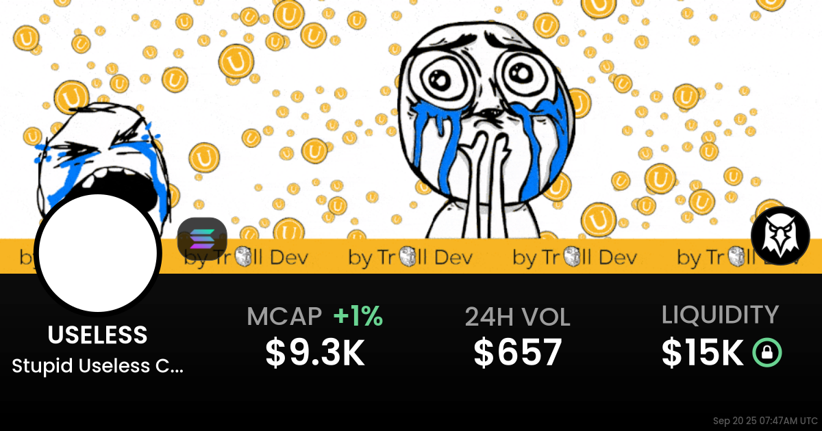 Stupid Useless Coin (USELESS)