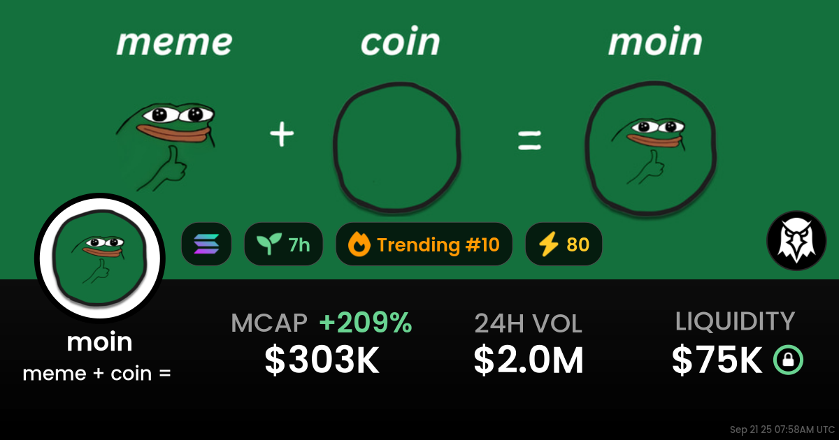 meme + coin =  (moin)