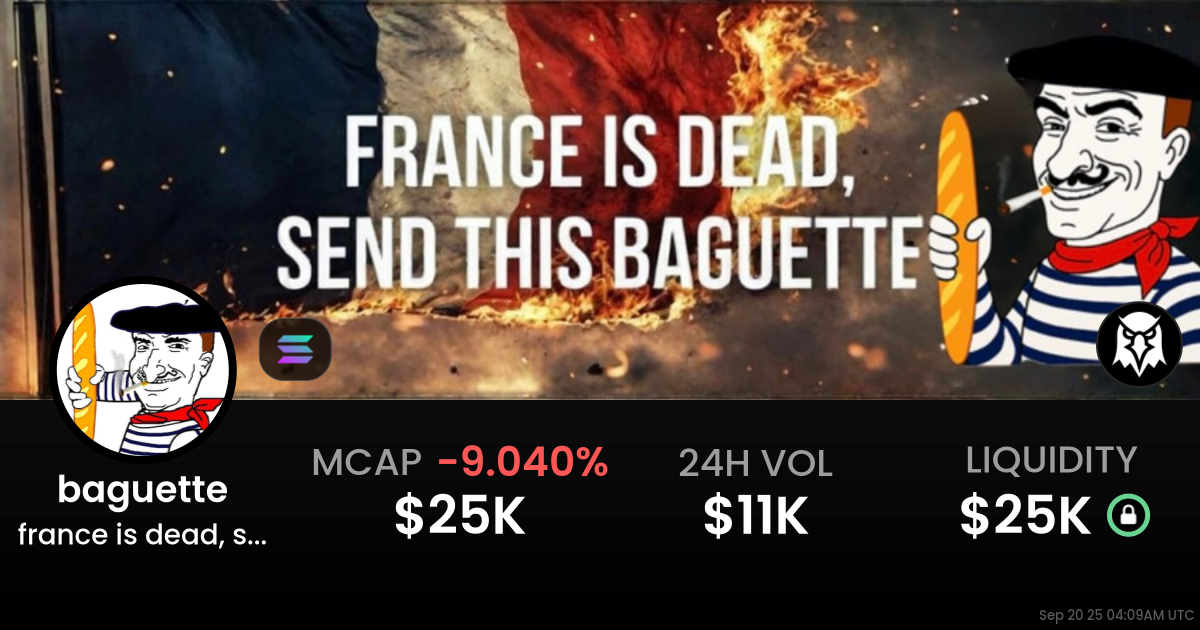 france is dead, send this (baguette)