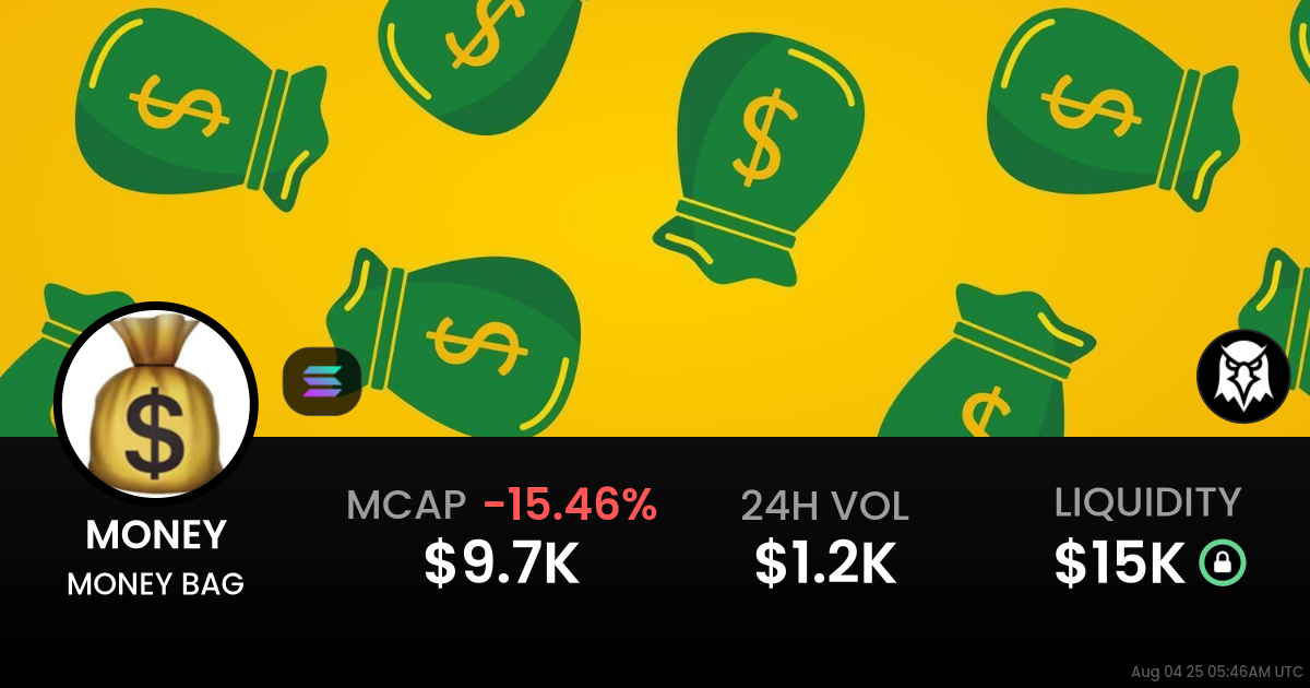 MONEY BAG (MONEY)