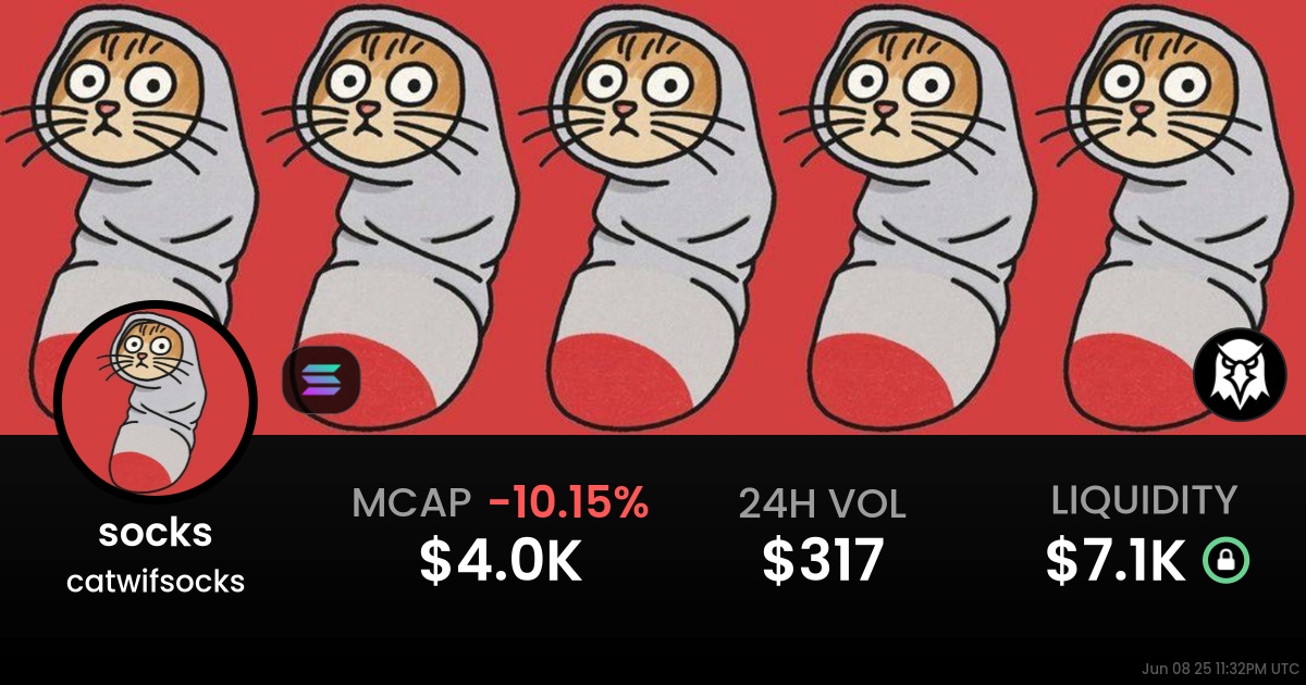 catwifsocks (socks)