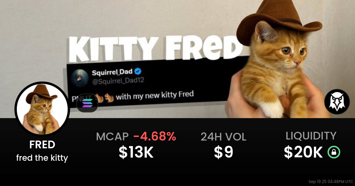fred the kitty (FRED)