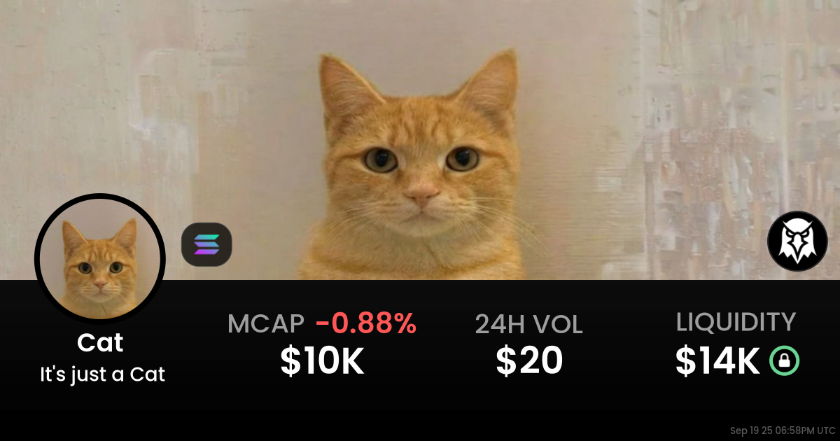 It’s just a Cat (Cat)