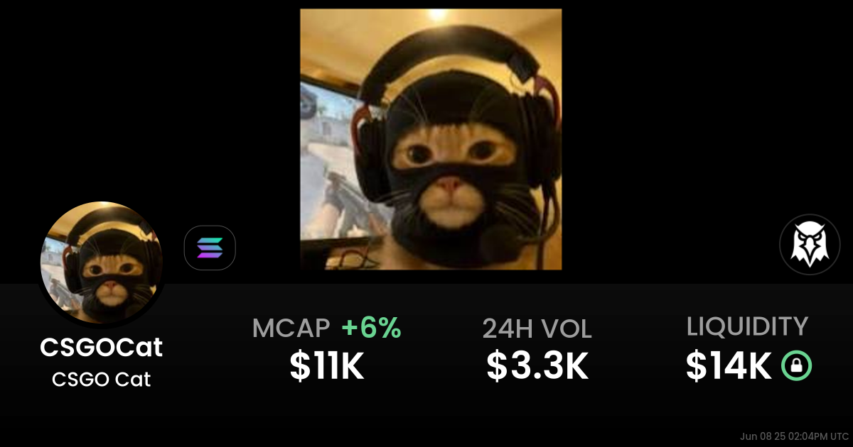 CSGO Cat (CSGOCat)