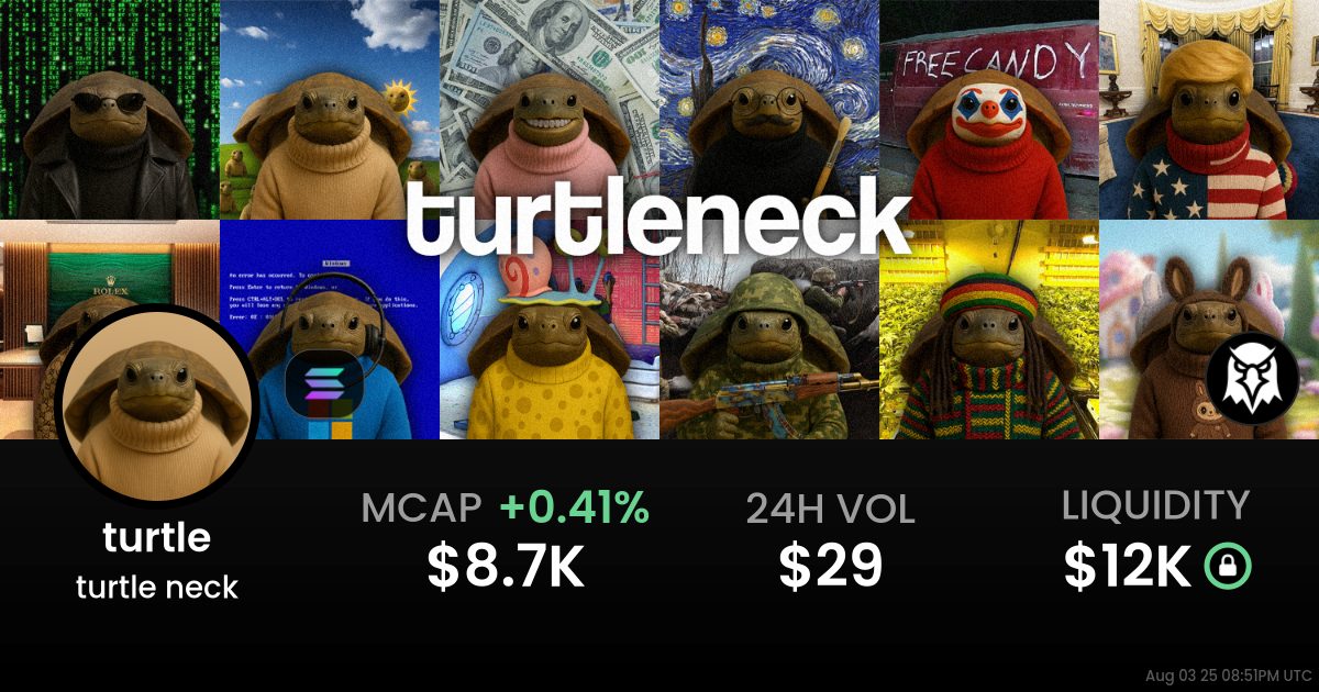 turtle neck (turtle)