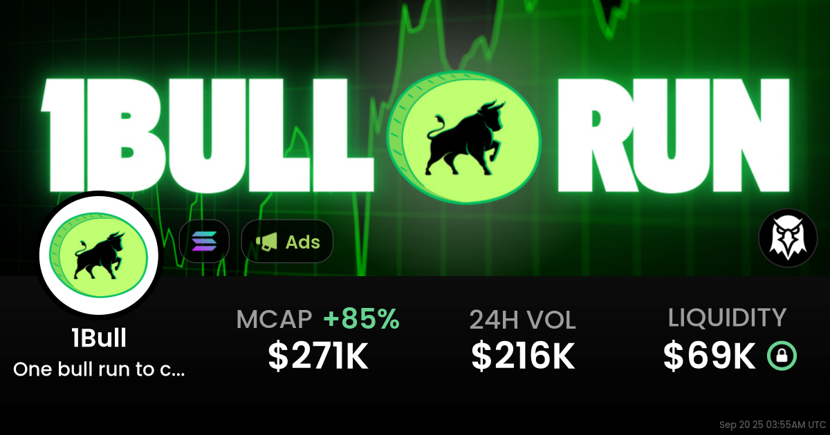 One bull run to change your life (1Bull)