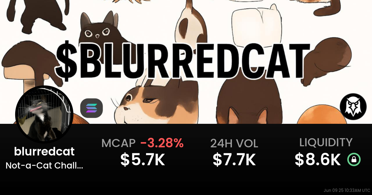 Not-a-Cat Challenge (blurredcat)