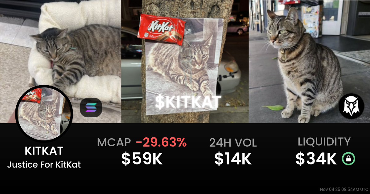 Justice For KitKat (KITKAT)
