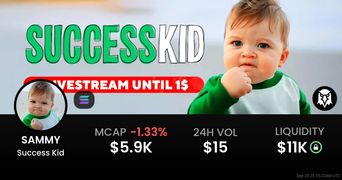 Success Kid (SAMMY)