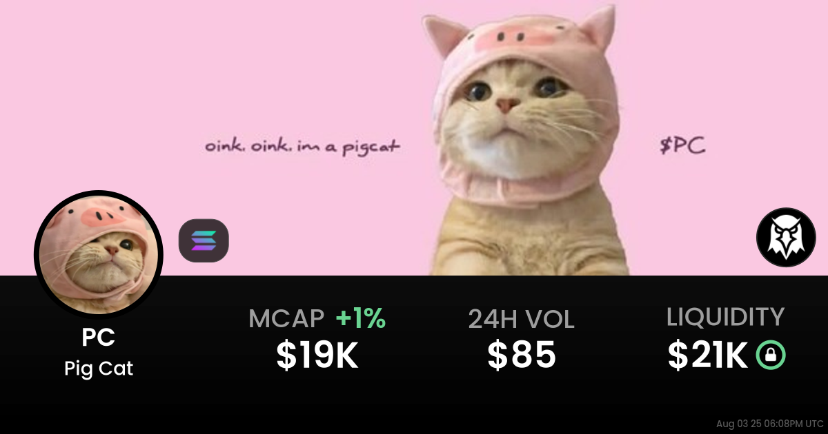 Pig Cat (PC)