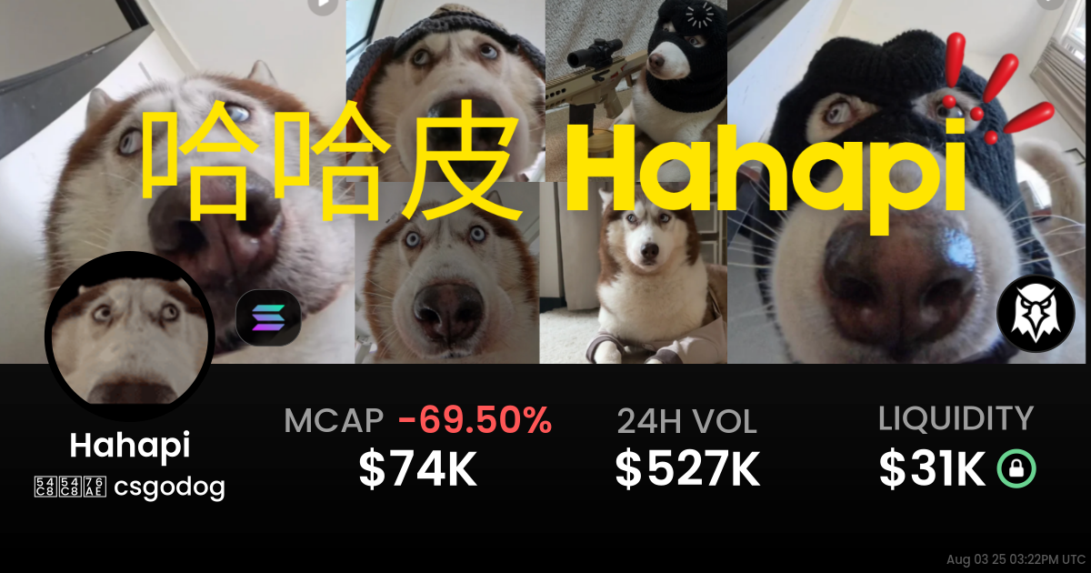 哈哈皮 csgodog (Hahapi)