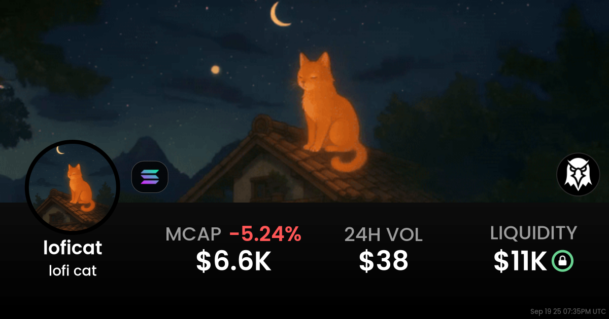 lofi cat (loficat)
