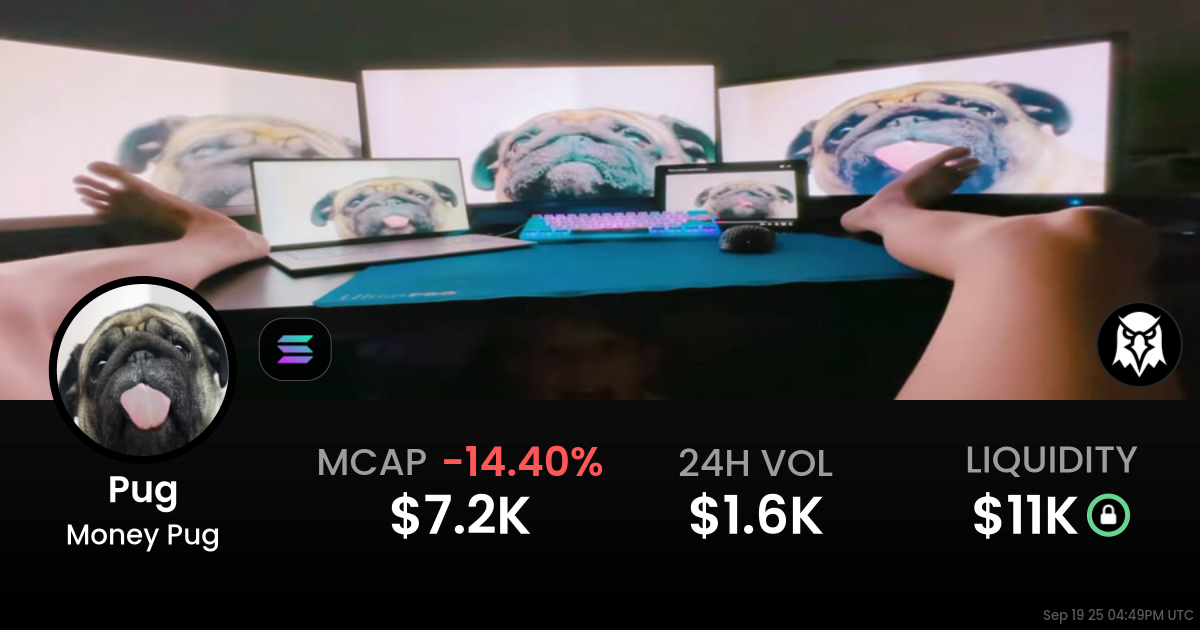 Money Pug (Pug)