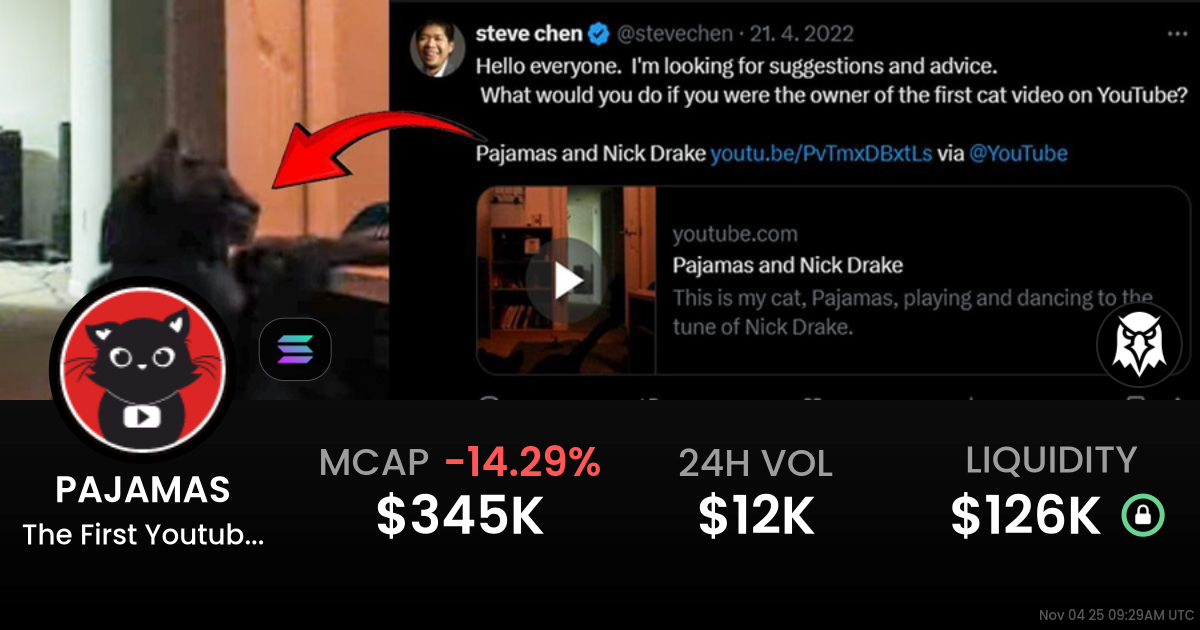 The First Youtube Cat (PAJAMAS)