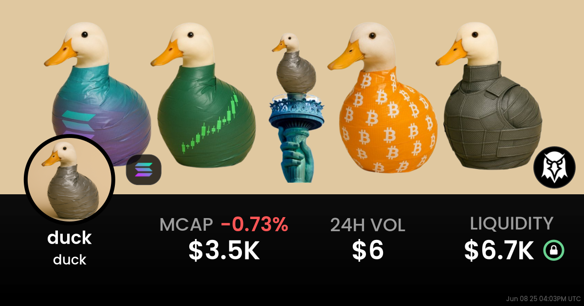 duck (duck)