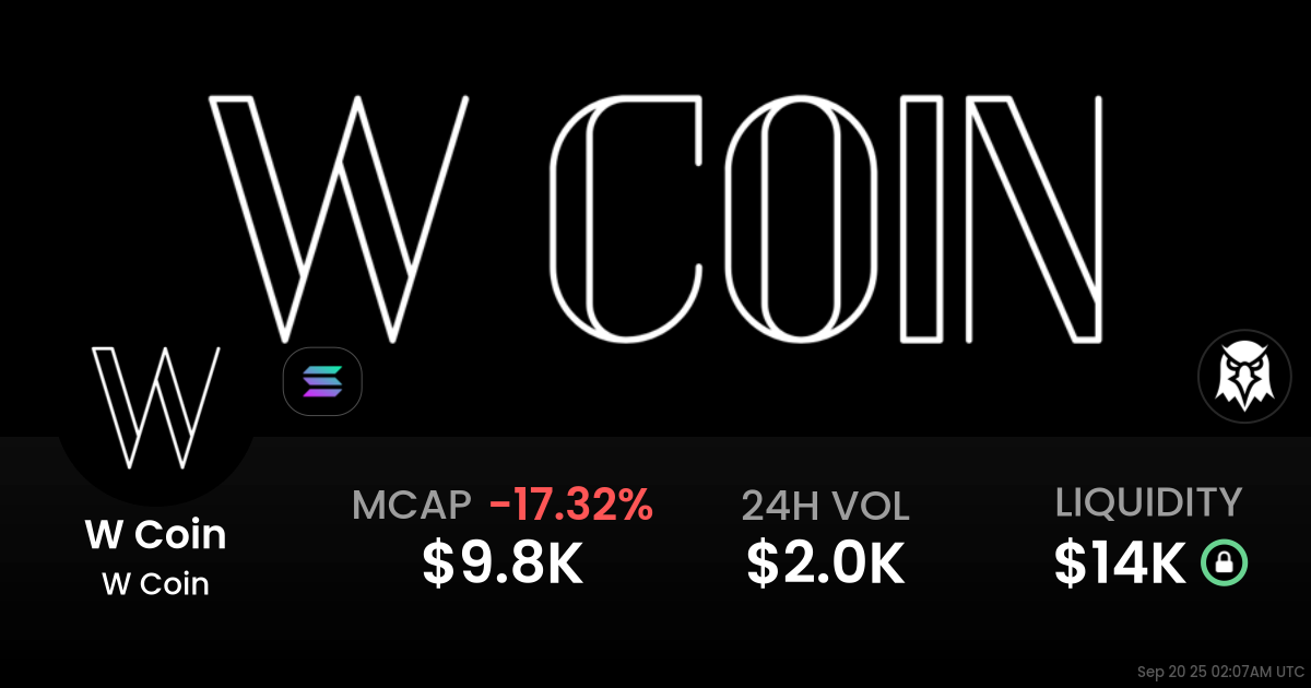 W Coin (W Coin)