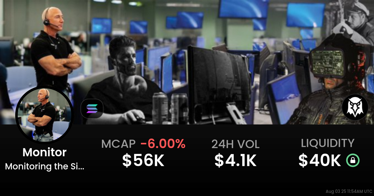Monitoring the Situation (Monitor)