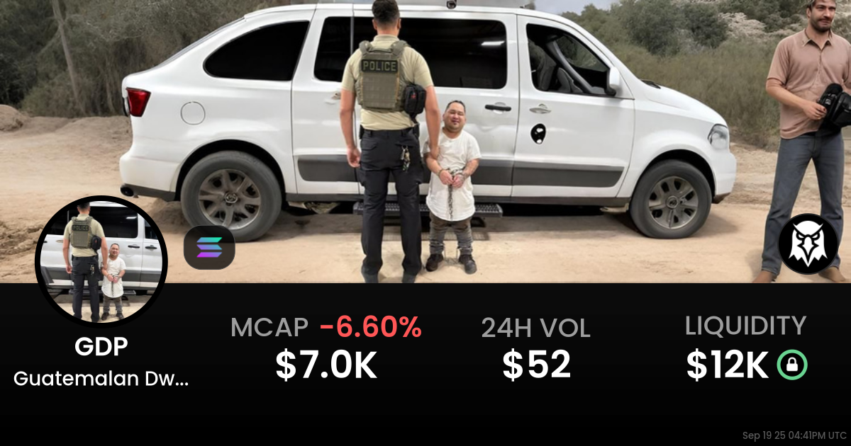 Guatemalan Dwarf Pedo (GDP)
