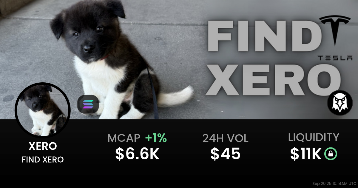 FIND XERO (XERO)