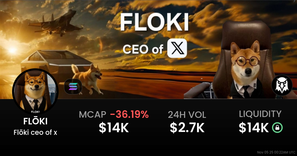 Flōki ceo of x (FLŌKI)