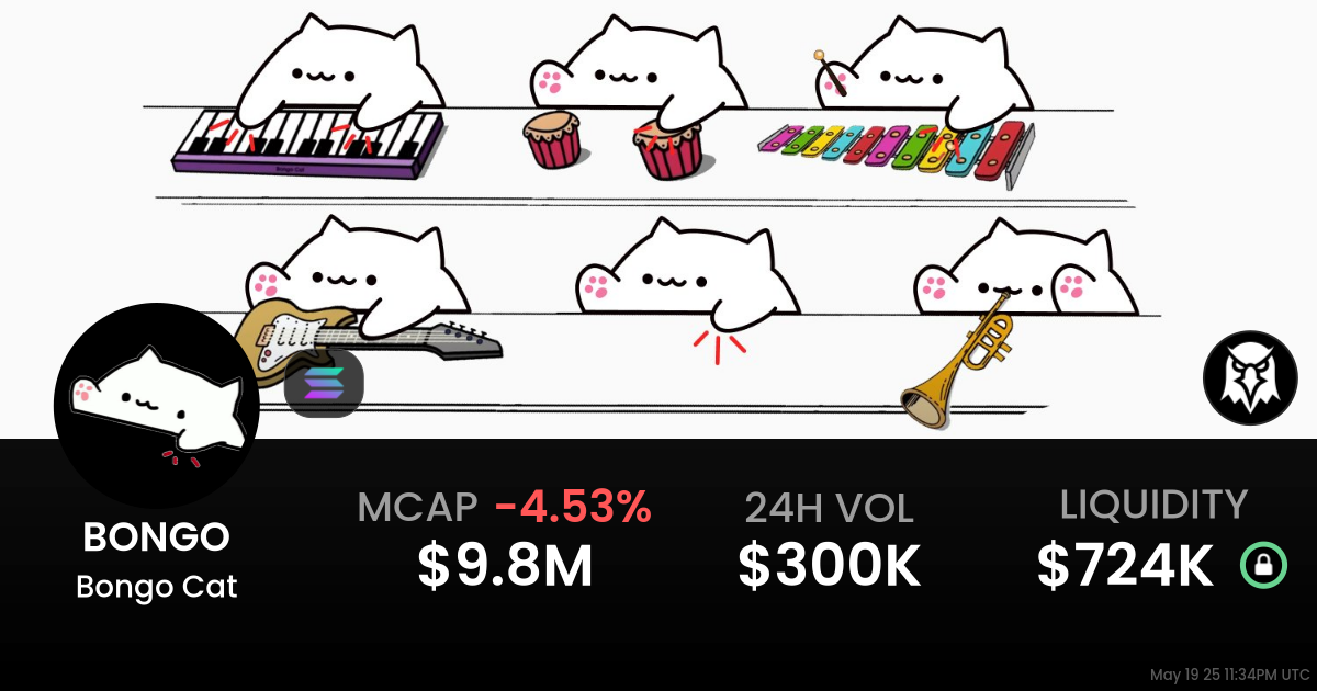 BONGO CAT (BONGO)