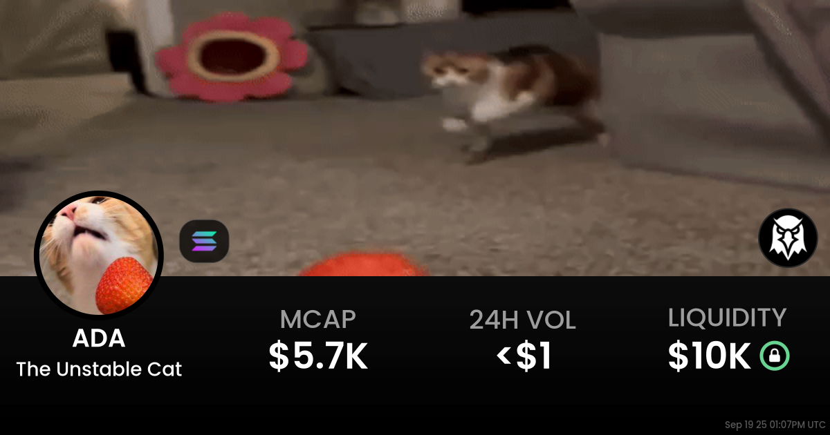 The Unstable Cat (ADA)