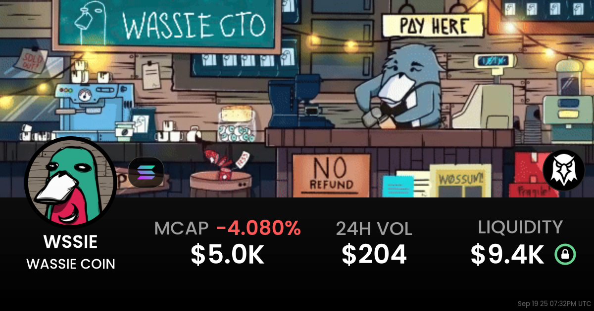 WASSIE COIN (WSSIE)